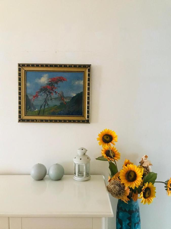 Antas Cozy House Διαμέρισμα Πόρτο Εξωτερικό φωτογραφία