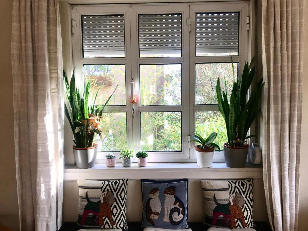 Antas Cozy House Διαμέρισμα Πόρτο Εξωτερικό φωτογραφία
